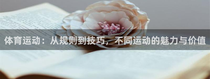 看球通体育a：体育运动：从规则到技巧，不同运动的魅力与价值