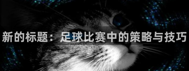 看球通体育app安卓版：新的标题：足球比赛中的策略与技巧