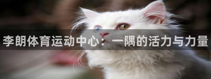 看球通体育下载：李朗体育运动中心：一隅的活力与力量