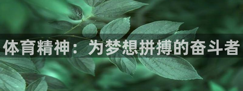 看球通体育直播在线观看：体育精神：为梦想拼搏的奋斗者