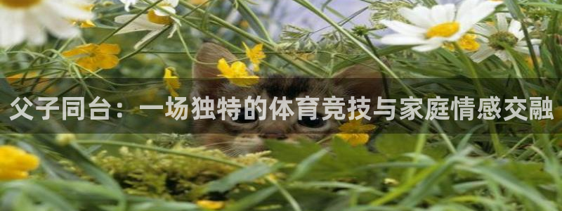 看球通体育app：父子同台：一场独特的体育竞技与家庭情感交融