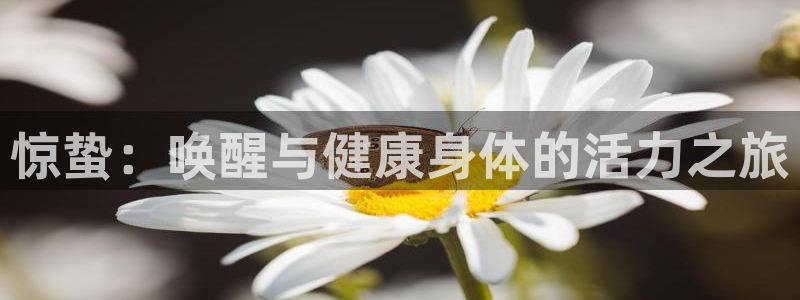 看球通体育小东北：惊蛰：唤醒与健康身体的活力之旅